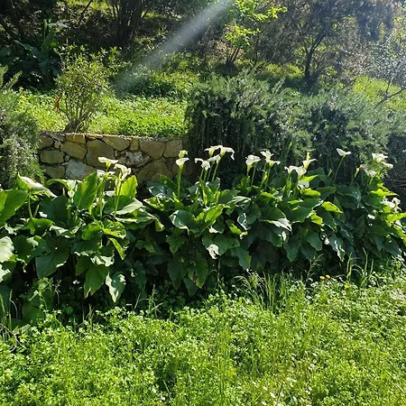 Casale Coreallo Spotorno